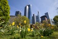 Frankfurt germany skyskraper in the spring Royalty Free Stock Photo