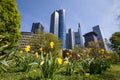 Frankfurt germany skyskraper in the spring