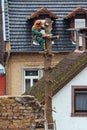 FRANKFURT, HESSEN, GERMANY-JANUARY 31, 2018: A gardener is cutting down a spruce tree