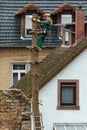 FRANKFURT, HESSEN, GERMANY-JANUARY 31, 2018: A gardener is cutting down a spruce tree