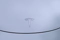 Frankfurt - May 2022: close-up of part of white Tesla passenger electric cars, modern vehicles replenishes battery charging