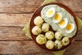 Frankfurt traditional dish of potatoes, boiled eggs and the famous green sauce close-up on a plate. horizontal top view Royalty Free Stock Photo