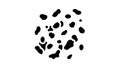 frankincense aromatherapy glyph icon animation