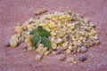 Frankincense Boswellia Papyrifera, resin and leaves, Incense f Royalty Free Stock Photo