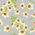 Frankincense flower seamless pattern vector. Boswellia tree flowers.