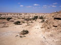 Wadi Dawkah, Dhofar region, Oman