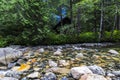 Franklin Falls Trail Denny Creek Flowing water and forest taken by slow Shutter Royalty Free Stock Photo