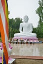 Buddha statue at the The New Jersey Buddhist Vihara & Meditation Center