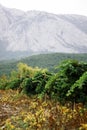 Franschhoek vineyards and highlands of Crimea