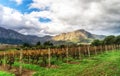 Franschhoek wineland area, South Africa