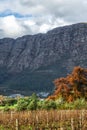 Franschhoek wineland area, South Africa