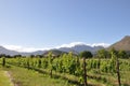 Franschhoek wine region south africa.