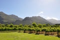 Franschhoek Cape French wine vineyards south afric Royalty Free Stock Photo