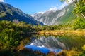 Franz Josef glacier and lake, New Zealand Royalty Free Stock Photo