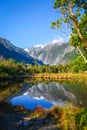 Franz Josef glacier and lake, New Zealand Royalty Free Stock Photo