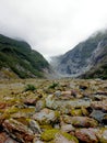 Franz Josef Glacier Valley, New Zealand Royalty Free Stock Photo