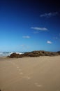 Fraser Island foot prints