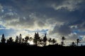 Fraser Island sunset under gathering dark clouds and silhouette palm trees Royalty Free Stock Photo