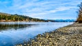 The Fraser River on the shore of Glen Valley Regional Park near Fort Langley, British Columbia, Canada Royalty Free Stock Photo