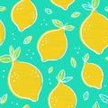 Frash lemons modern beauty seamless