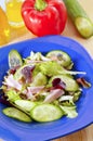 Frash salad Royalty Free Stock Photo