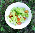 Frash salad over nature background Royalty Free Stock Photo