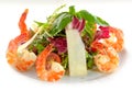 Frash salad with shrimp Royalty Free Stock Photo
