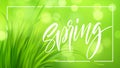 Frash Spring green grass background with handwriting lettering. Vector illustration Royalty Free Stock Photo