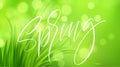 Frash Spring green grass background with handwriting lettering. Vector illustration Royalty Free Stock Photo