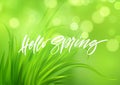 Frash Spring green grass background with handwriting lettering. Vector illustration Royalty Free Stock Photo