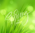 Frash Spring green grass background with handwriting lettering. Vector illustration Royalty Free Stock Photo
