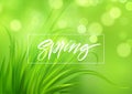 Frash Spring green grass background with handwriting lettering. Vector illustration Royalty Free Stock Photo