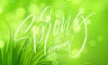 Frash Spring green grass background with handwriting lettering. Vector illustration Royalty Free Stock Photo