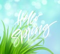 Frash Spring green grass background with handwriting lettering. Vector illustration Royalty Free Stock Photo