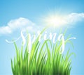 Frash Spring green grass background. Vector illustration