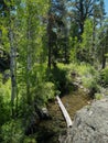 Frasier Creek, Sierra Nevada range Royalty Free Stock Photo