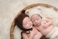 Fraternal Twin Baby Brother and Sister in Bear Hats Royalty Free Stock Photo