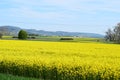 Fraukirch, Germany - 05 09 2021: yellow valley fields towards Flugplatz Mendig