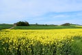 Fraukirch, Germany - 05 09 2021: settlement Fraukirch behind yellow fields