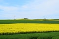 Fraukirch, Germany - 05 09 2021: green and yellow Eifel during May