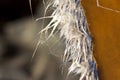 Frayed fiberglass detail - image with copy space