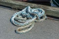 Frayed line lying on New Bedford dock