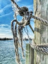 Frayed Rope Knot Royalty Free Stock Photo