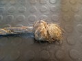 Frayed Rope Knot on Textured Mat Royalty Free Stock Photo