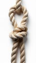 Frayed rope noose, broken loop White background , background image, hope Royalty Free Stock Photo