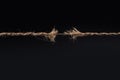 Frayed rope ready to break isolated on black background Royalty Free Stock Photo