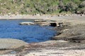 Frazer Beach Australia Rock Platform Royalty Free Stock Photo