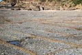 Frazer Beach Australia Rock Platform Joint Sets Royalty Free Stock Photo
