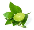Freah lime Royalty Free Stock Photo
