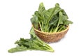 Freah spinach in the basket Royalty Free Stock Photo